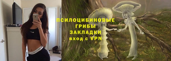 ГАЛЛЮЦИНОГЕННЫЕ ГРИБЫ Алексин