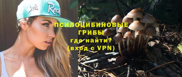 ГАЛЛЮЦИНОГЕННЫЕ ГРИБЫ Алексин