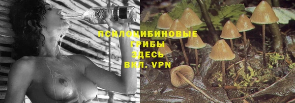 мяу мяу мука Алексеевка